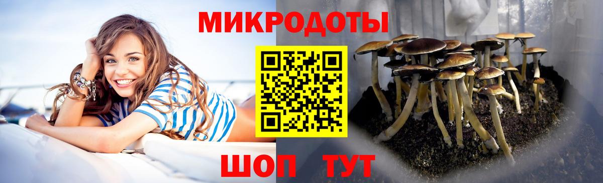 Галлюциногенные грибы мухоморы  Галлюциногенные грибы прущие грибы  Вход с VPN  Кумертау 